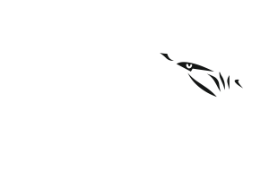 Grandview-Zebras - Görsel 2