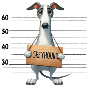 Greyhound Design - DTF Ready To Press