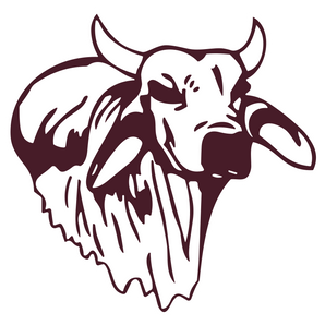 Hallettsville-Brahmas - Görsel 1