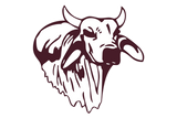 Hallettsville-Brahmas - Görsel 1