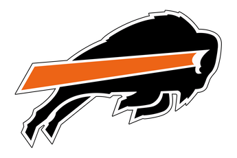 Haltom-City-Haltom-Buffalos - Görsel 2