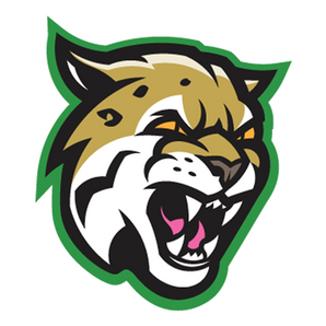 Hempstead-Bobcats - Görsel 1