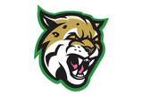 Hempstead-Bobcats - Görsel 1