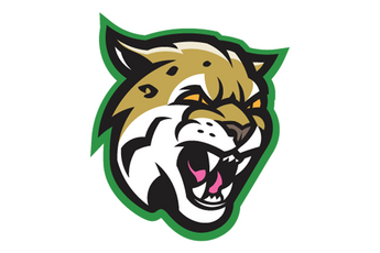 Hempstead-Bobcats - Görsel 1