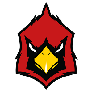 Hermleigh-Cardinals - Görsel 1
