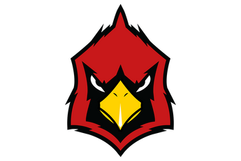 Hermleigh-Cardinals - Görsel 1