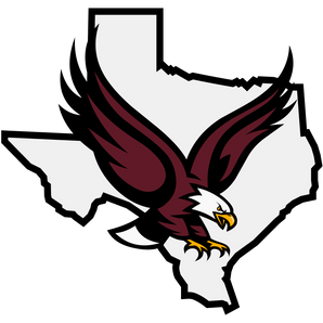 Hillsboro-Eagles - Görsel 1