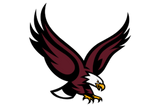 Hillsboro-Eagles - Görsel 2