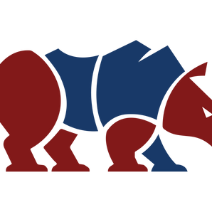 Houston-Carnegie-Vanguard-Rhinos - Görsel 1