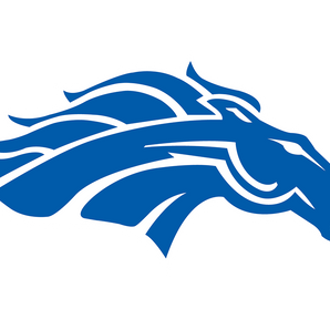 Houston-Christian-Mustangs - Görsel 1
