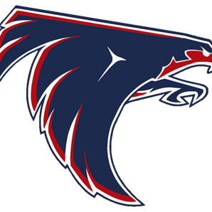 Houston-Clear-Lake-Falcons - Görsel 1