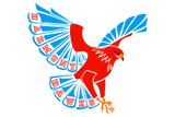 Houston-Harmony-School-of-Advancement-Hawks - Görsel 1