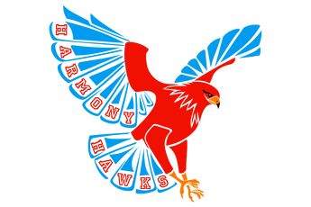 Houston-Harmony-School-of-Advancement-Hawks - Görsel 1