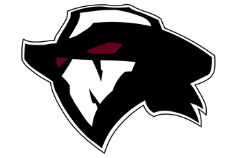 Houston-Northbrook-Raiders - Görsel 2