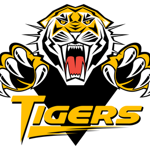 Houston-Spring-Woods-Tigers - Görsel 1
