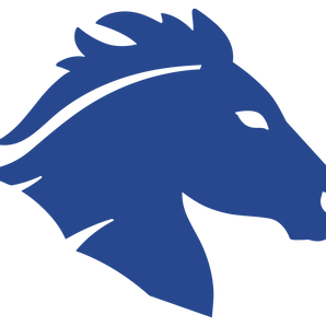 Houston-Briarwood-Mustangs - Görsel 1