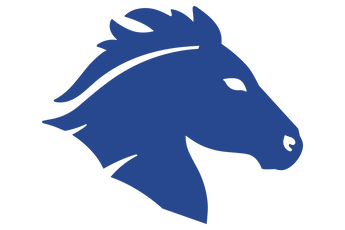 Houston-Briarwood-Mustangs - Görsel 1