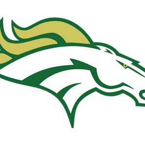 Houston-Worthing-Colts - Görsel 1