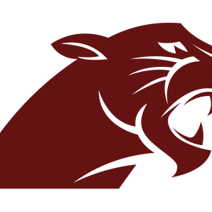 Houston-Young-Womens-College-Prep-Panthers - Görsel 1
