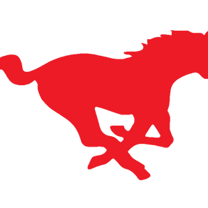 Hughes-Springs-Mustangs - Görsel 1