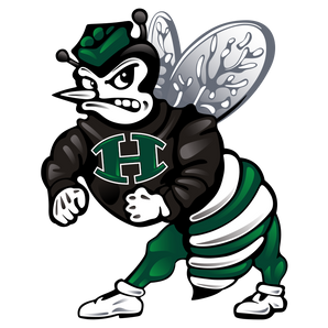 Huntsville-Hornets - Görsel 1