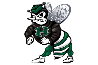 Huntsville-Hornets - Görsel 1
