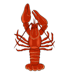 Mardi Gras Crawfish Design - DTF Ready To Press