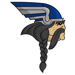 Irving-Nimitz-Vikings - Görsel 1