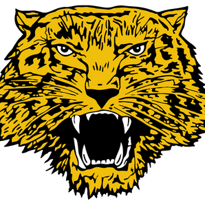Itasca-Wampus-Cats - Görsel 1
