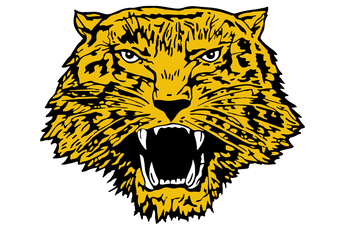 Itasca-Wampus-Cats - Görsel 1