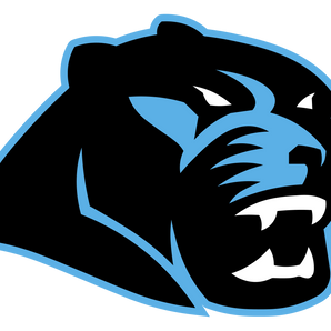 Katy-Paetow-Panthers - Görsel 1