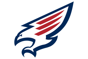Katy-Tompkins-Falcons - Görsel 1