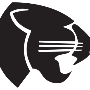 Keller-Fossil-Ridge-Panthers - Görsel 1