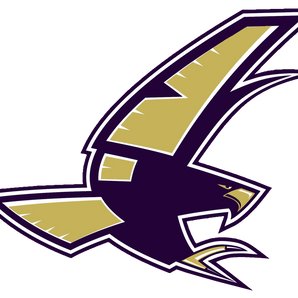 Keller-Timber-Creek-Falcons - Görsel 1