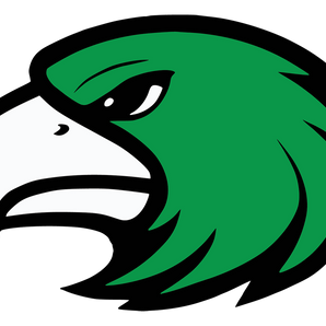 Lake-Dallas-Falcons - Görsel 1