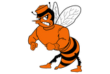 Laneville-Yellowjackets - Görsel 1
