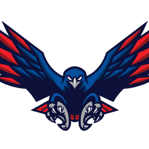 Laredo-Harmony-School-of-Excellence-Hawks - Görsel 1