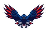 Laredo-Harmony-School-of-Excellence-Hawks - Görsel 1