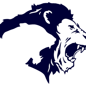 Lasara-Lions - Görsel 1