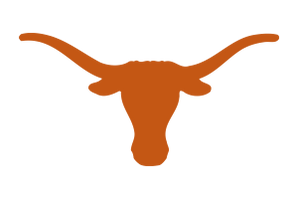 Lazbuddie-Longhorns - Görsel 1