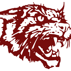 Littlefield-Wildcats - Görsel 1