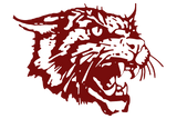 Littlefield-Wildcats - Görsel 1