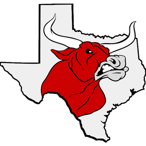 Lockney-Longhorns - Görsel 1