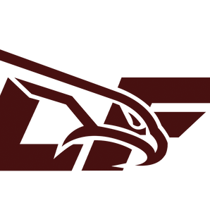 Los-Fresnos-Falcons - Görsel 1