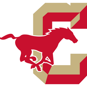 Lubbock-Coronado-Mustangs - Görsel 1