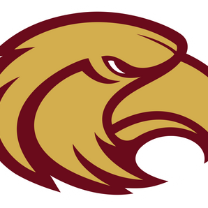 Milano-Eagles - Görsel 1