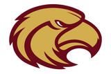 Milano-Eagles - Görsel 1