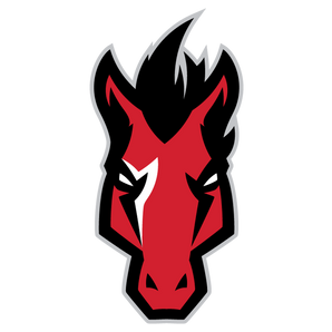 Manor-Mustangs - Görsel 1