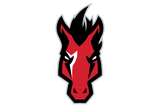 Manor-Mustangs - Görsel 1