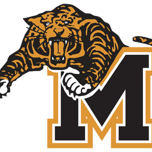 Mansfield-Tigers - Görsel 1